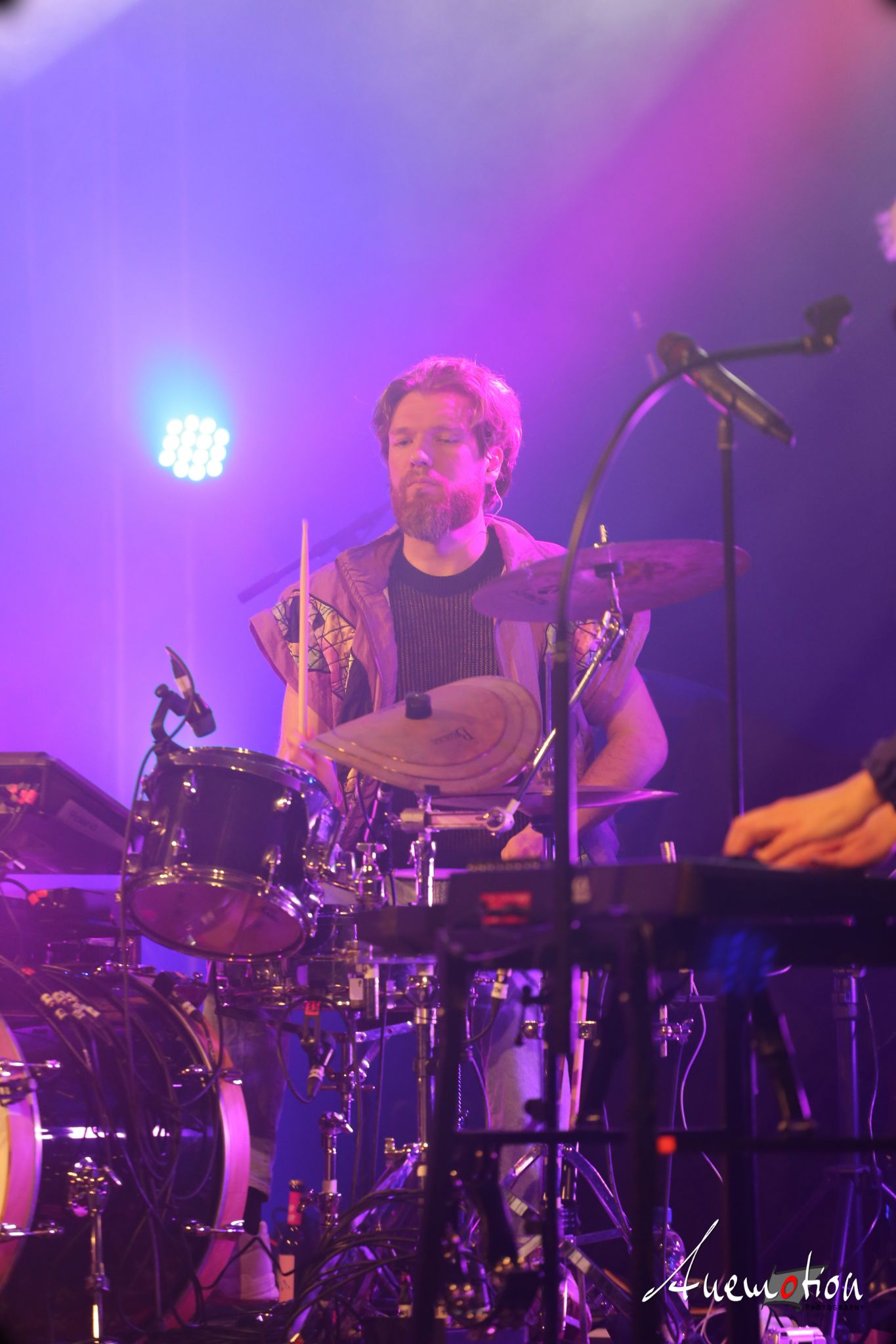 ElephantsFalling (87)